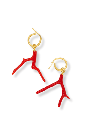 Coral Earrings 