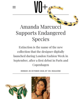 VO+ Magazine featuring Amanda Marcucci