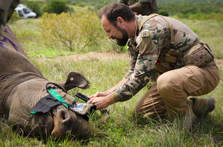 Veteran Wildlife Ranger Alliance
